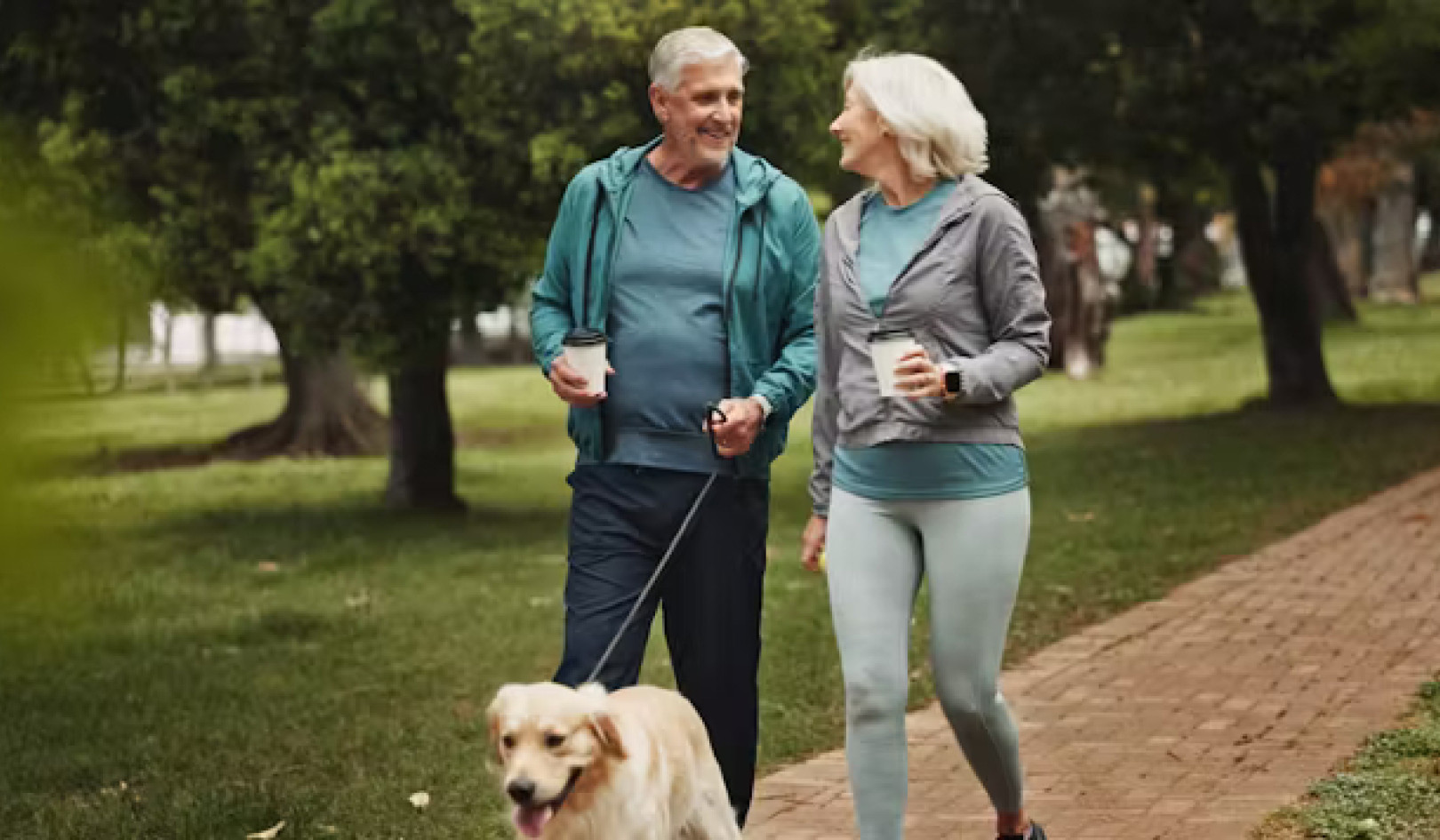 Is Walking the New Wonder Drug?